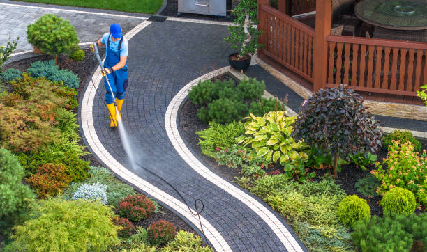 Best Roof Pressure Washing  in West Jefferson, OH